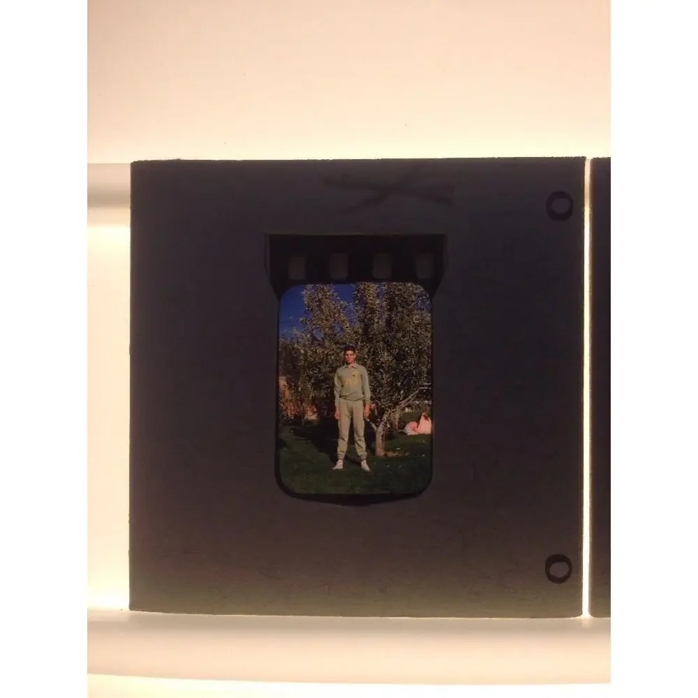 Lot 2 Vtg 40s Kodachrome Italia Polo Young Man by Tree Photograph Color Slides